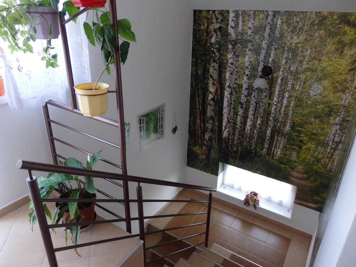 Pivnicka Pod Cachtickym Hradom Hotel Čachtice Eksteriør billede